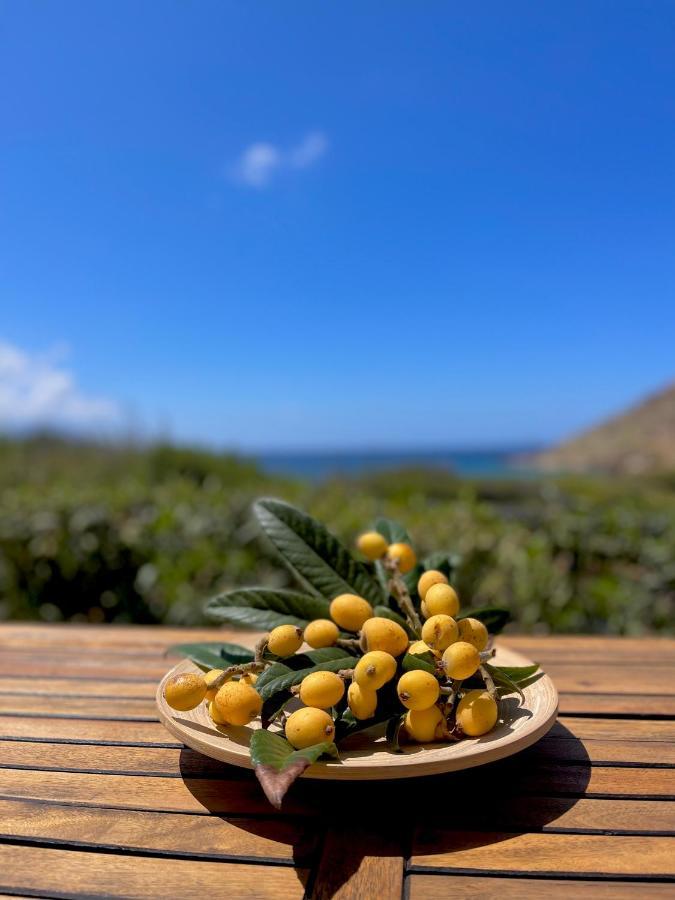 Seaside Studios Arkasa Karpathos 外观 照片