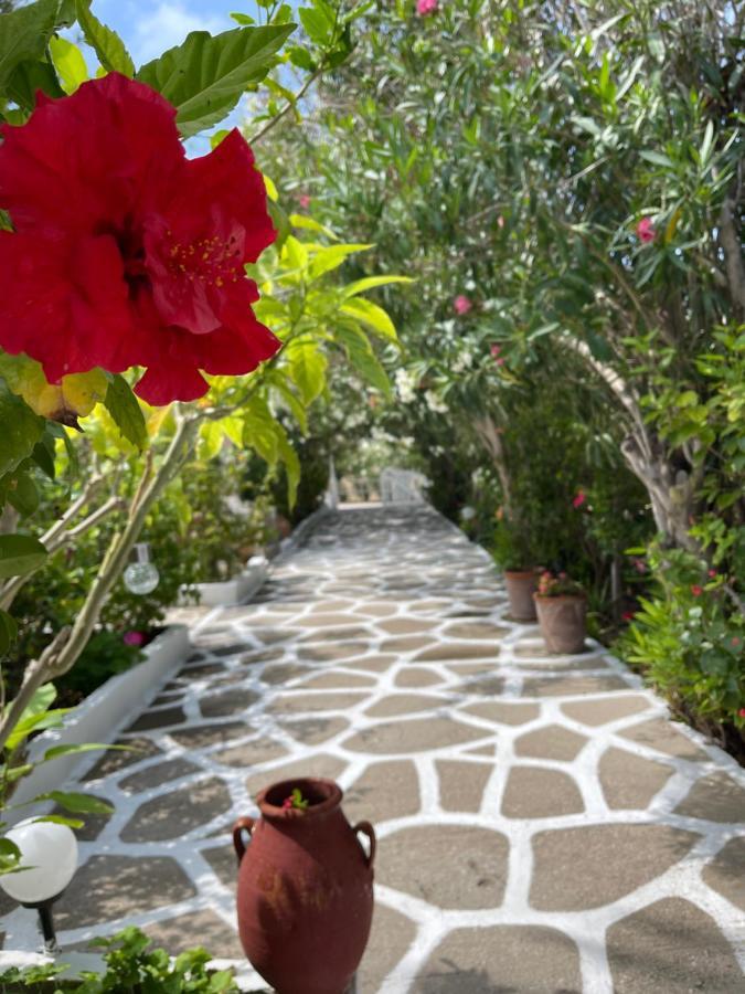 Seaside Studios Arkasa Karpathos 外观 照片